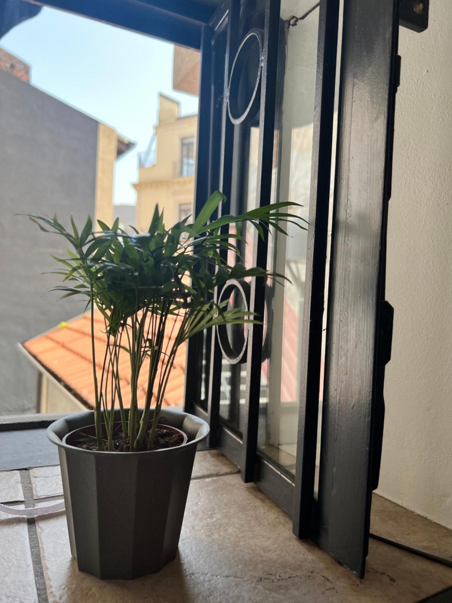 Barcaioli'S Home CTA Exteriér fotografie
